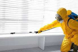 Best Termite Inspection and Treatment  in Maplewood, WA